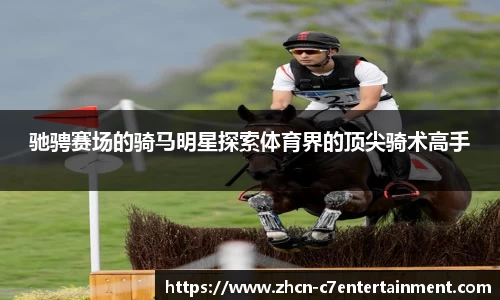 c7娱乐