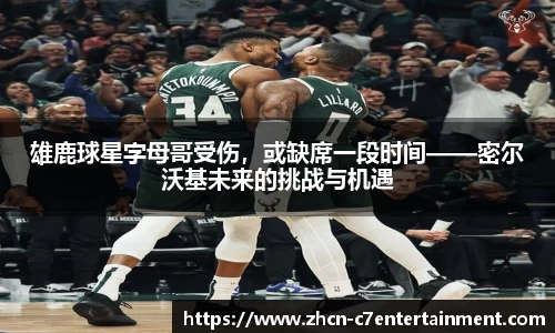 雄鹿球星字母哥受伤，或缺席一段时间——密尔沃基未来的挑战与机遇