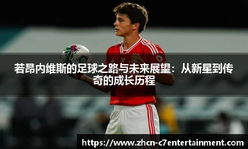 c7娱乐公司