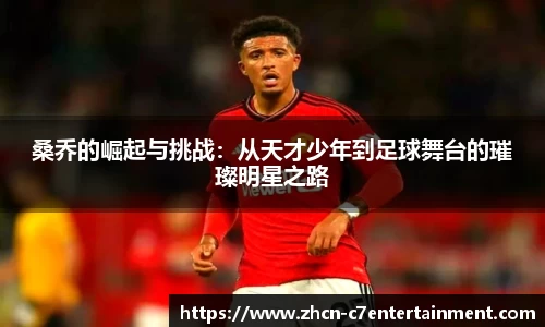 c7娱乐公司