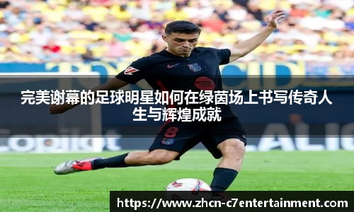 c7娱乐